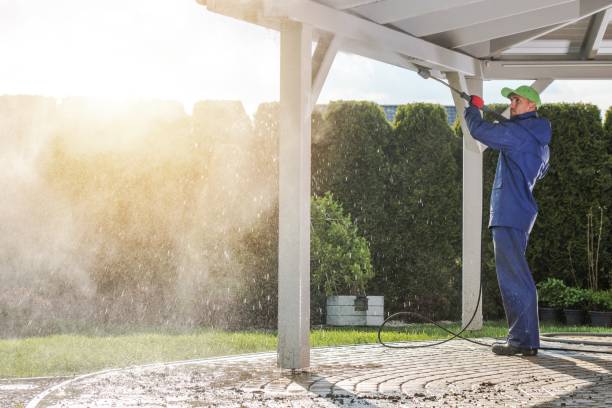 Best Soft Washing  in Lakewood, CO
